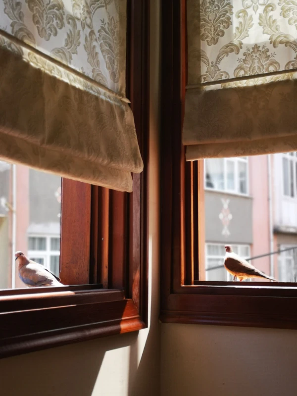 roman-blinds