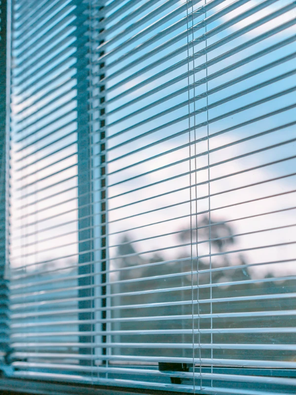 venetian-blind