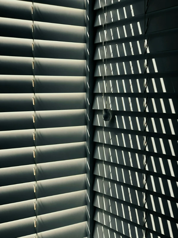 venetian-blind