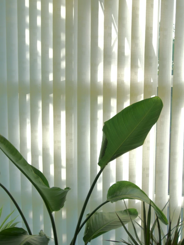 vertical-blind