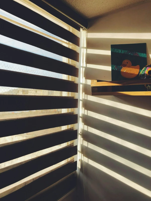 zebra-blinds
