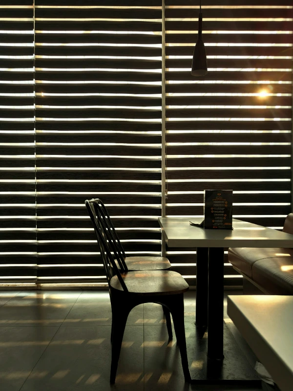 zebra-blinds