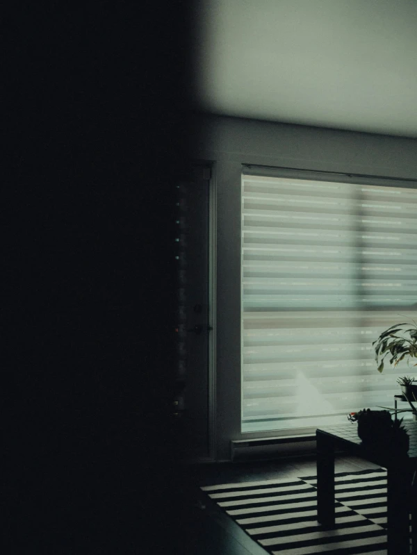 zebra-blinds